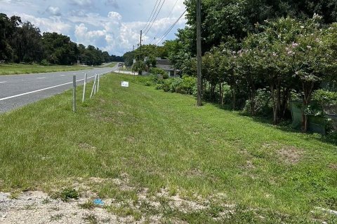 Commercial property in Reddick, Florida № 1561315 - photo 22