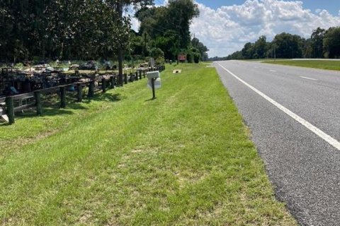 Commercial property in Reddick, Florida № 1561315 - photo 21