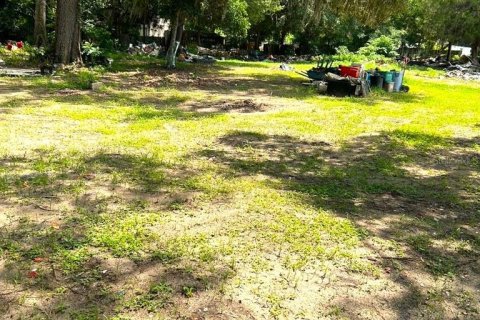 Commercial property in Reddick, Florida № 1561315 - photo 13