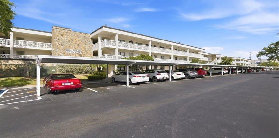 Condo à Saint Petersburg, Floride, 2 chambres № 2110158