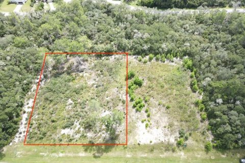 Terreno en venta en Ocala, Florida № 2351573 - foto 4