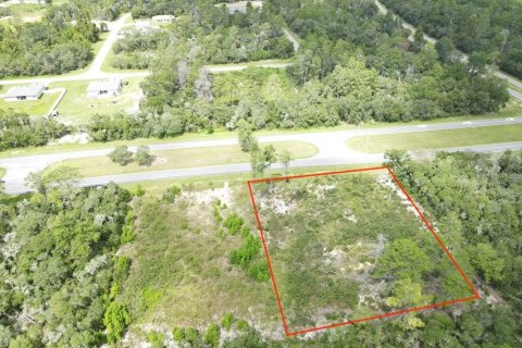 Terreno en venta en Ocala, Florida № 2351573 - foto 3