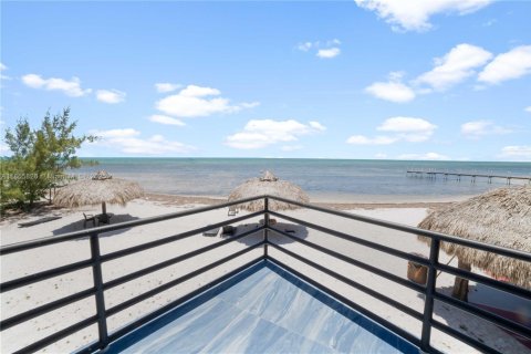 Hotel in Big Pine Key, Florida № 1895302 - photo 25