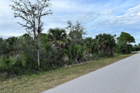 Land in Port Charlotte, Florida № 2160086 - photo 3