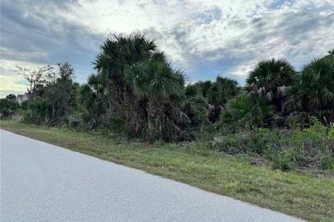 Land in Port Charlotte, Florida № 2160086 - photo 5