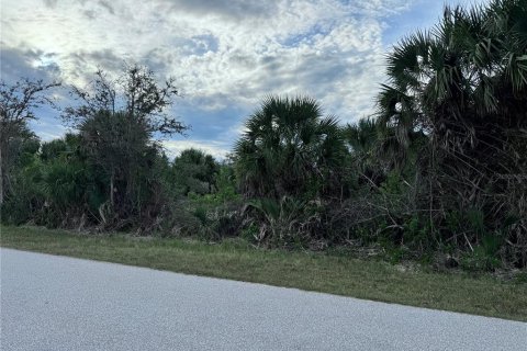 Land in Port Charlotte, Florida № 2160086 - photo 4