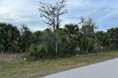 Land in Port Charlotte, Florida № 2160086 - photo 2