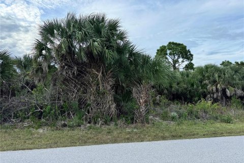 Land in Port Charlotte, Florida № 2160086 - photo 7