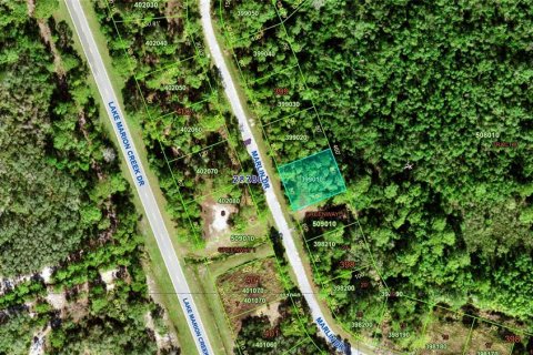 Land in Kissimmee, Florida № 2232927