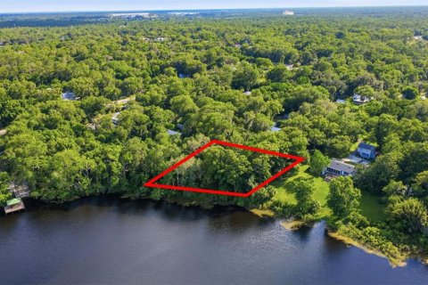 Land in Lake Helen, Florida № 2114211