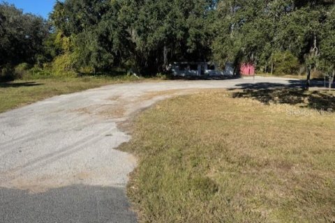 Immobilier commercial à vendre à Webster, Floride: 132.01 m2 № 2125178 - photo 3