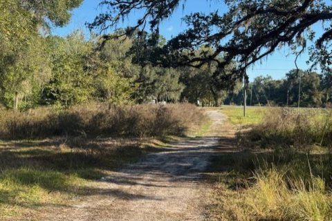 Immobilier commercial à vendre à Webster, Floride: 132.01 m2 № 2125178 - photo 7