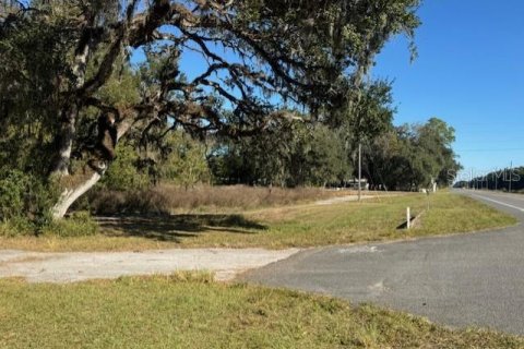 Immobilier commercial à vendre à Webster, Floride: 132.01 m2 № 2125178 - photo 6