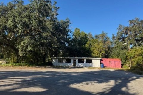 Immobilier commercial à vendre à Webster, Floride: 132.01 m2 № 2125178 - photo 8