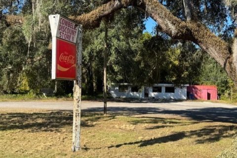 Immobilier commercial à vendre à Webster, Floride: 132.01 m2 № 2125178 - photo 4