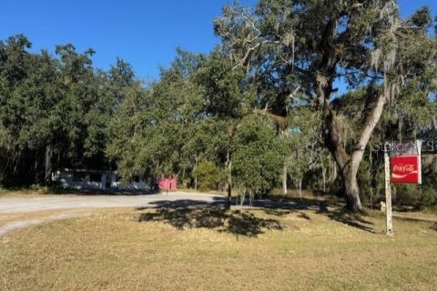 Immobilier commercial à vendre à Webster, Floride: 132.01 m2 № 2125178 - photo 2