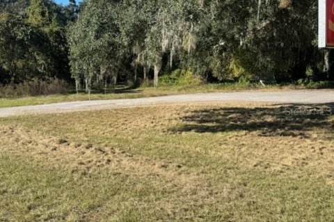 Immobilier commercial à vendre à Webster, Floride: 132.01 m2 № 2125178 - photo 5
