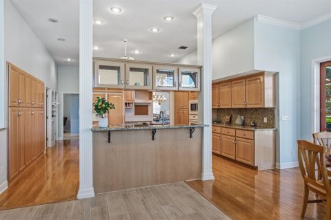 Villa ou maison à vendre à Palm Harbor, Floride: 4 chambres, 303.6 m2 № 2418749 - photo 26