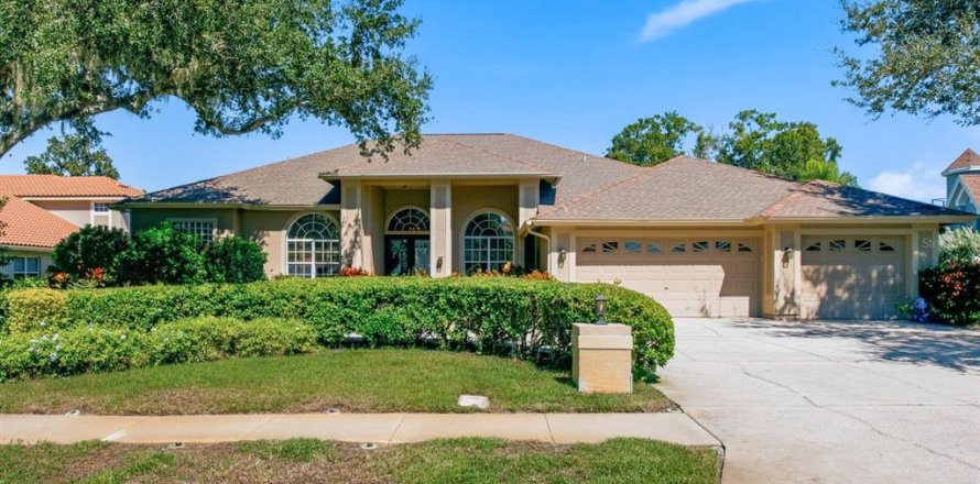 Villa ou maison à Palm Harbor, Floride 4 chambres, 303.6 m2 № 2418749