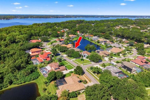 Villa ou maison à vendre à Palm Harbor, Floride: 4 chambres, 303.6 m2 № 2418749 - photo 2