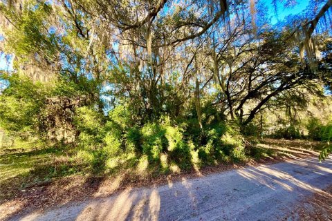 Land in Interlachen, Florida № 2163067 - photo 5