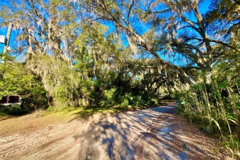 Land in Interlachen, Florida № 2163067 - photo 4