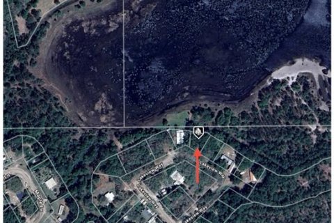 Land in Interlachen, Florida № 2163067 - photo 14