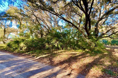 Land in Interlachen, Florida № 2163067 - photo 3