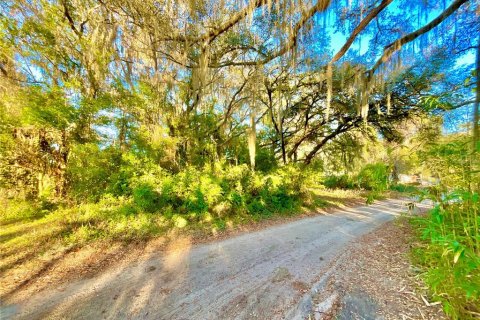 Land in Interlachen, Florida № 2163067