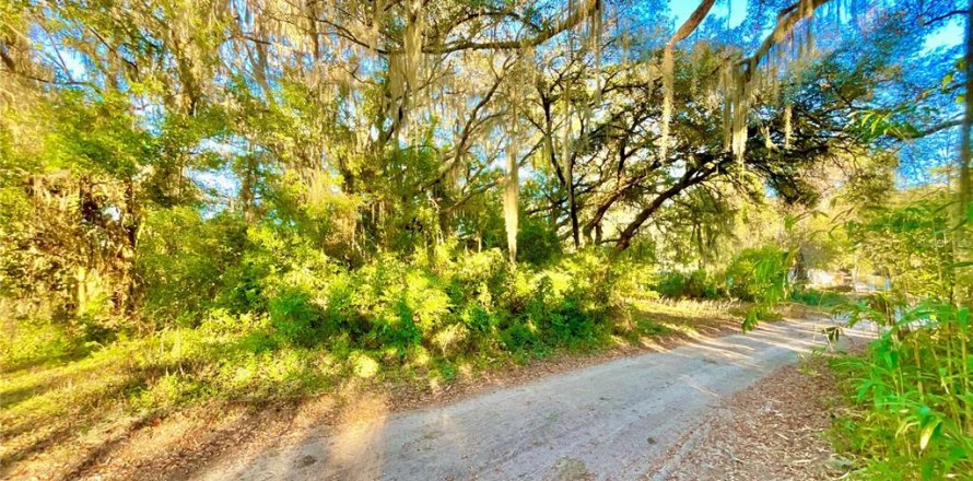 Land in Interlachen, Florida № 2163067