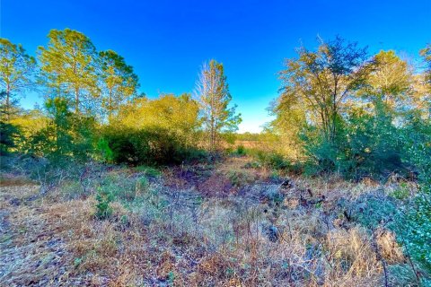 Land in Interlachen, Florida № 2163067 - photo 2
