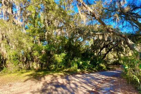 Land in Interlachen, Florida № 2163067 - photo 7