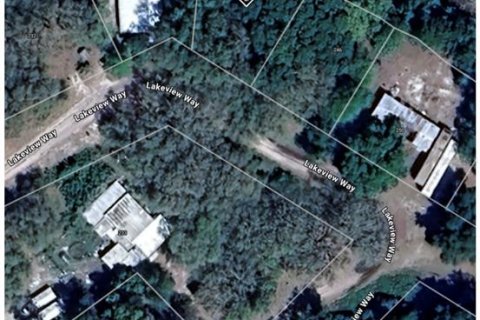 Land in Interlachen, Florida № 2163067 - photo 10