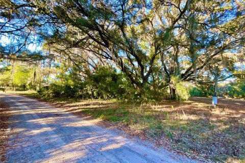 Land in Interlachen, Florida № 2163067 - photo 6
