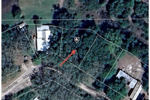 Land in Interlachen, Florida № 2163067 - photo 12
