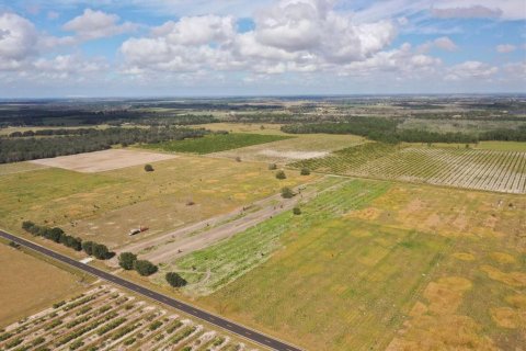 Land in Fort Meade, Florida № 1603183 - photo 4