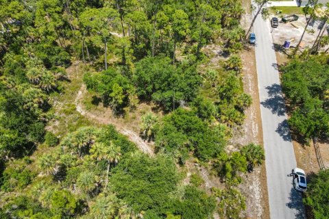 Land in Port Charlotte, Florida № 2160755 - photo 6