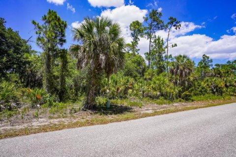 Land in Port Charlotte, Florida № 2160755 - photo 13