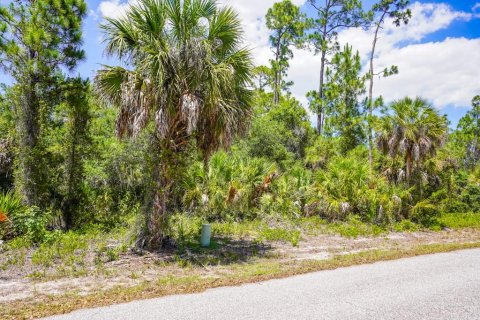 Land in Port Charlotte, Florida № 2160755 - photo 12