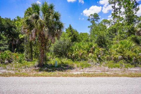 Land in Port Charlotte, Florida № 2160755 - photo 10