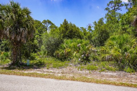 Land in Port Charlotte, Florida № 2160755 - photo 7