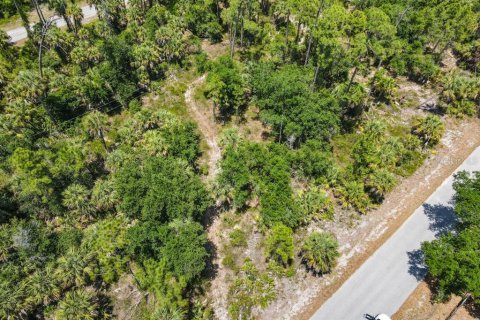 Land in Port Charlotte, Florida № 2160755 - photo 5
