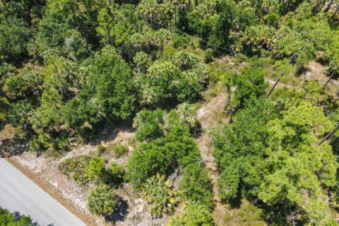 Land in Port Charlotte, Florida № 2160755 - photo 3