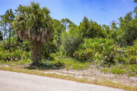 Land in Port Charlotte, Florida № 2160755 - photo 8