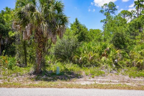 Land in Port Charlotte, Florida № 2160755 - photo 9