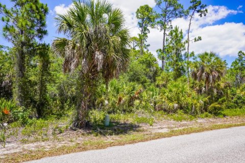 Land in Port Charlotte, Florida № 2160755 - photo 11