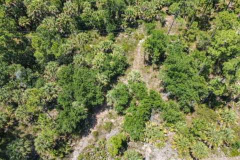 Land in Port Charlotte, Florida № 2160755 - photo 4