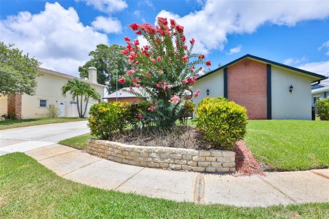 House in Seminole, Florida 3 bedrooms, 186.18 sq.m. № 2235428 - photo 8