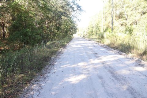 Land in Dunnellon, Florida № 2164971 - photo 5