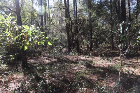 Land in Dunnellon, Florida № 2164971